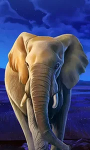 African Elephant